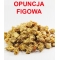 OPUNCJA FIGOWA KWIAT 1 KG